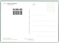 3952 Susten Foto AK Vogelschau