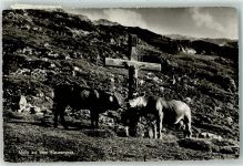 Klausenpasshöhe - Kreuz Jesus