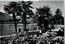 6600 Locarno - Lungolago