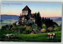 8260 Stein am Rhein - Kühe Schloss Hohenklingen Hüttenstempel