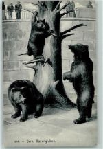 3000 Bern Berne - Bärengraben