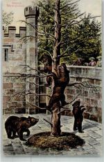 3000 Bern Berne 1909 Foto AK Bärengraben