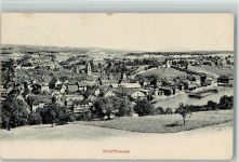 8200 Schaffhausen Sciaffusa 1929