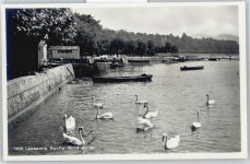 1000 Lausanne Losanna - Hafenquai, Schwan, Ouchy AKU2