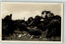 9507 Stettfurt Gebrauchsspuren Schlossgut Sonnenberg Kühe