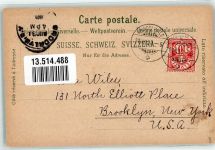 3818 Grindelwald 1900 Lithographie Hotel Wetterhorn Gletscher Gämse