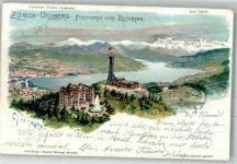 8143 Uetliberg 1902 Lithographie sign. Steinmann, C. Künstlerpostkarte Nr. 2121 Zürichsee
