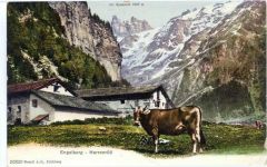 um 1910 - Engelberg, Kanton Ob- u. Nidwalden, Herrenrüt, Alm,Wehrli A.-G. AKU2