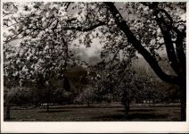 9470 Buchs SG Räfis