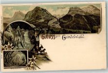 3818 Grindelwald Lithographie Gletscher Gletscherhöhle Edelweiß