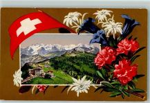 Rigi Kulm - Alpenblumen Enzian Edelweiss Fahne Serie 90