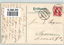 Ufenau Insel 1908 Foto AK Gasthaus