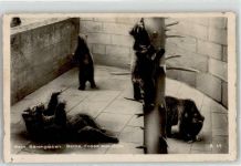 3000 Bern Berne - Bärengraben