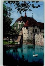 5707 Seengen - Schloss Hallwil Schwan