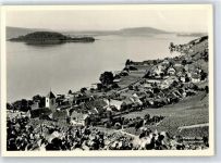 2513 Twann - Petersinsel