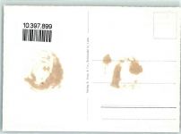 3655 Sigriswil Gebrauchsspuren Fliegeraufnahme Eiger Mönch Jungfrau