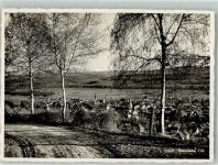 8570 Weinfelden Foto AK Feldpost Stab.Inf,Reg. 31