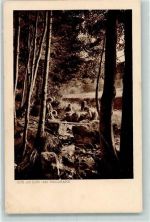 3703 Aeschi b. Spiez - Am Waldrand