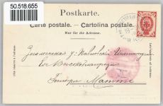 Automne au Val de Ruz Kühe