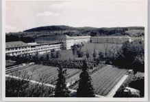 8000 Zürich Zürichhorn - Krankenhaus Neumünster