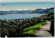 8820 Wädenswil Gebrauchsspuren Bahnpost Zug 505