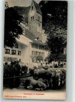 3800 Unterseen 1909 - Viehmarkt AK