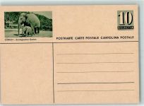 8000 Zürich - Zoologischer Garten Elefant mit Jungem