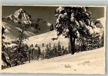 7500 St. Moritz Winter Piz Julier