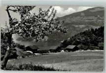 3706 Leissigen 1957 Foto AK Pension Ferienheim d. Pilgermission St. Chrischona