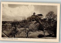 8627 Grüningen Foto AK Schloss Gruningen