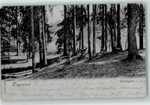 4900 Langenthal 1901 - Partie im Wald