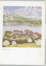 8706 Meilen - Hohenegg