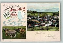 8636 Wald ZH 1900 - Kantonale Landwirtschaftliche Ausstellung 1900 - Ereignis - Verlag Künzli 5835 AK