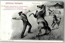 8500 Frauenfeld 1903 - Ausstellung für Landwirtschaft Pferde