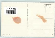 2525 Le Landeron - Fliegeraufnahme