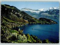 6354 Vitznau - Luftaufnahme