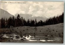 1978 Lens - Kuhherde