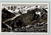 Schafberg - Oberer Schafberg mit Berninagruppe Bauer mit Maultier