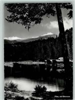 7018 Flims Waldhaus - Am Coumasee