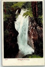 8877 Murg 1910 - Wasserfall