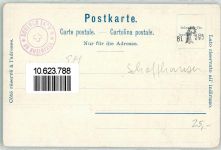 8212 Neuhausen am Rheinfall - Schloss Laufen