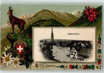 8580 Amriswil 1916 Prägedruck Passepartout Gämse Edelweiß Lithographie