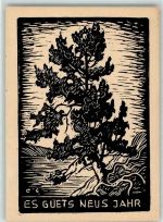 Glückwunsch Neujahr Künstlerkarte Holzschnitt Motiv Schweiz KEINE AK