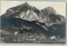 9658 Wildhaus 1917 - Schafberg