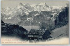 6461 Isenthal - Urirotstock