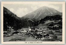 1863 Le Sépey Ormont-Dessous Foto AK