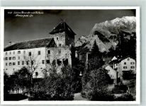 7304 Maienfeld Foto AK Schloß Brandis mit Falknis AK