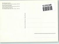 Alte Schweizer Trachten von David Aloys Schmid , gute Erhaltung Tracht Schweiz Künstlerkarte