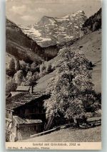 6461 Isenthal 1916 Foto AK Isental Uristock