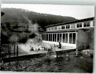 5330 Bad Zurzach 1956 Foto AK Schwimmbad
